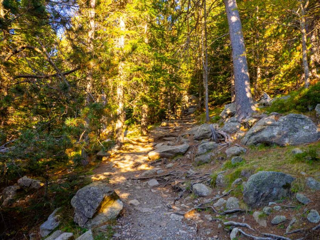 Parque Nacional de Aigüestortes