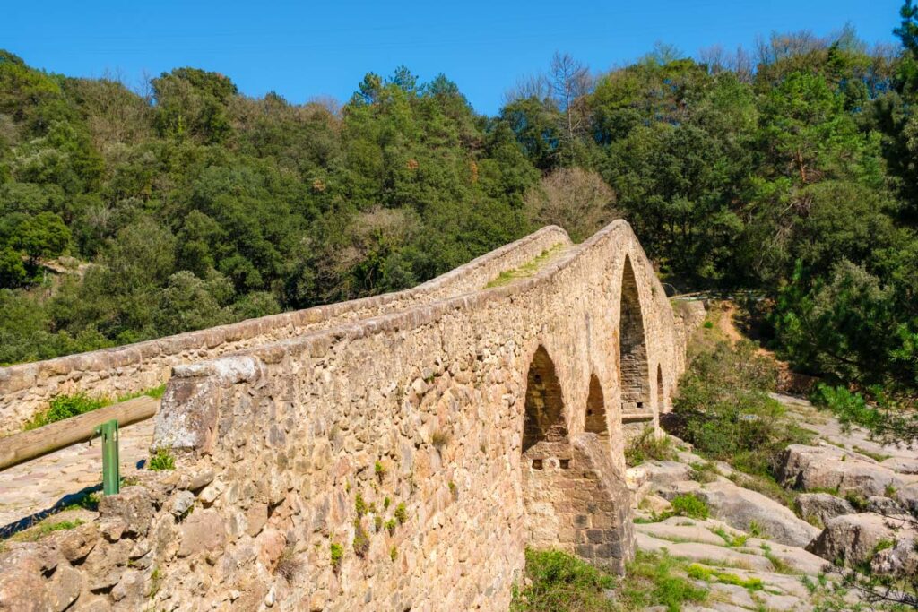 Puente de Pedret