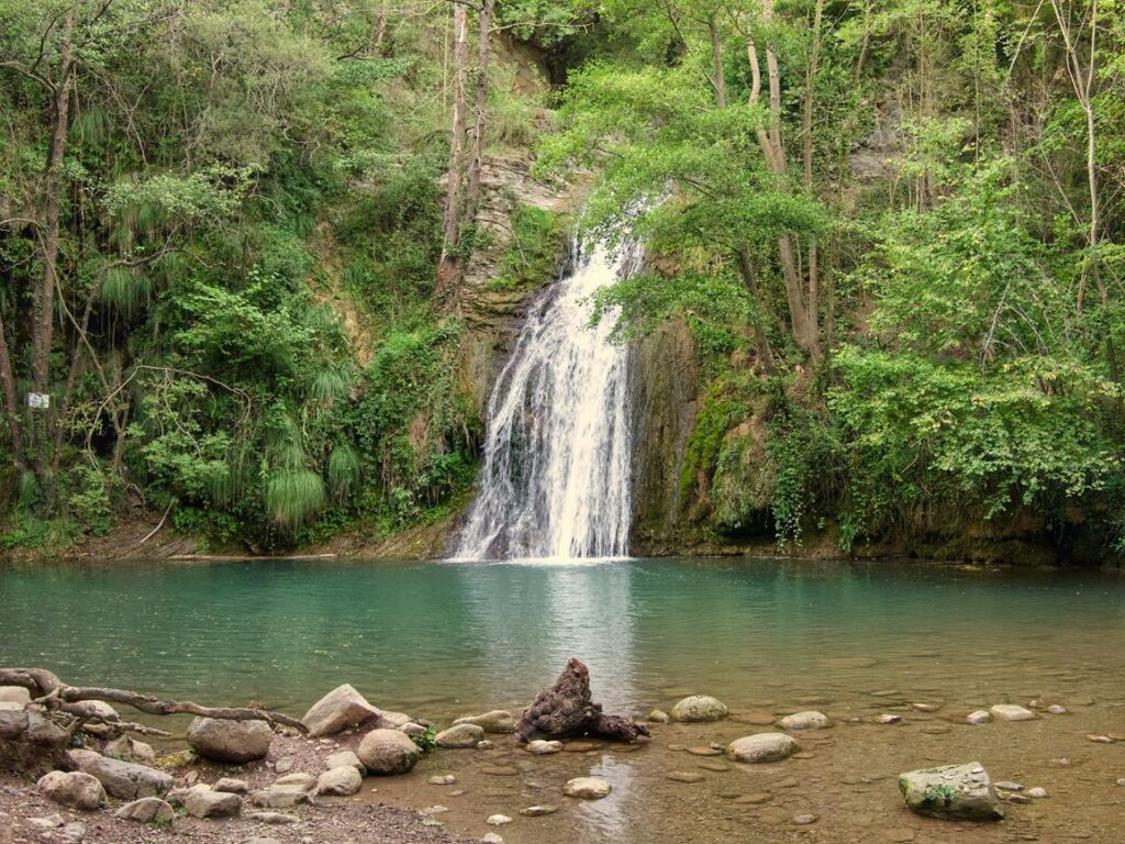 Grog de Malatosca Sant Joan de les Abadesses