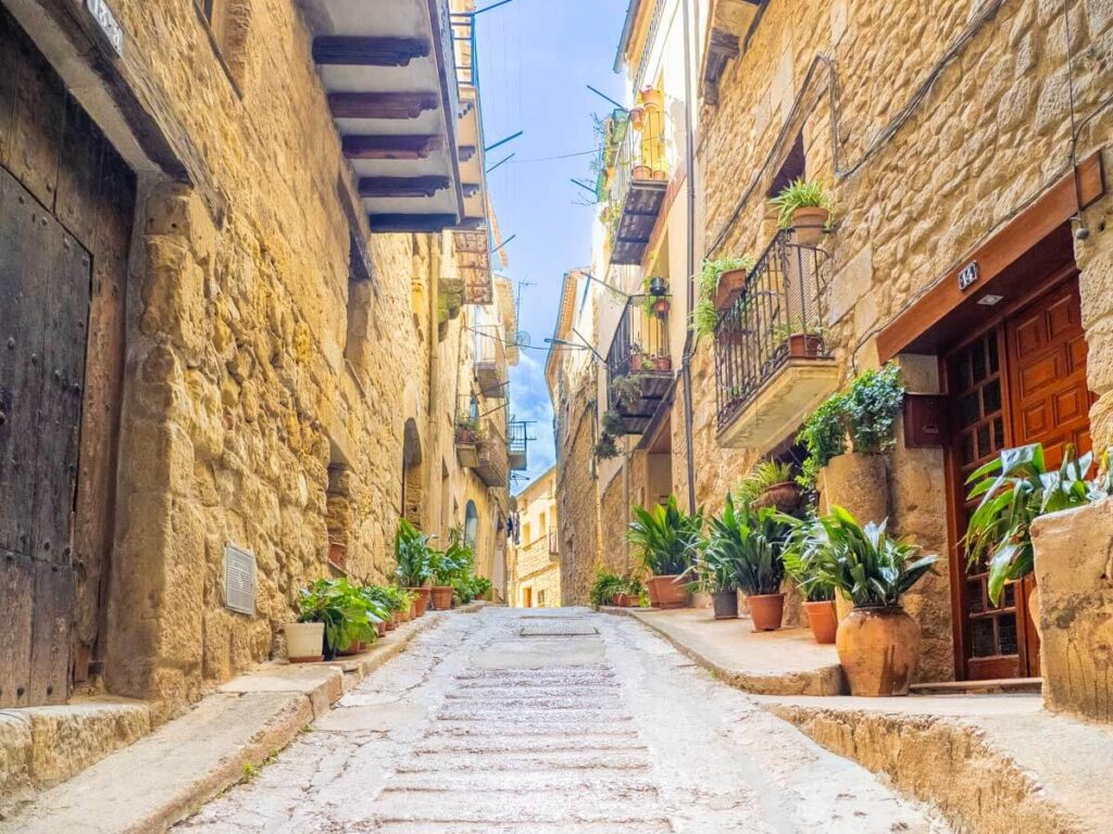 Street in Horta de Sant Joan