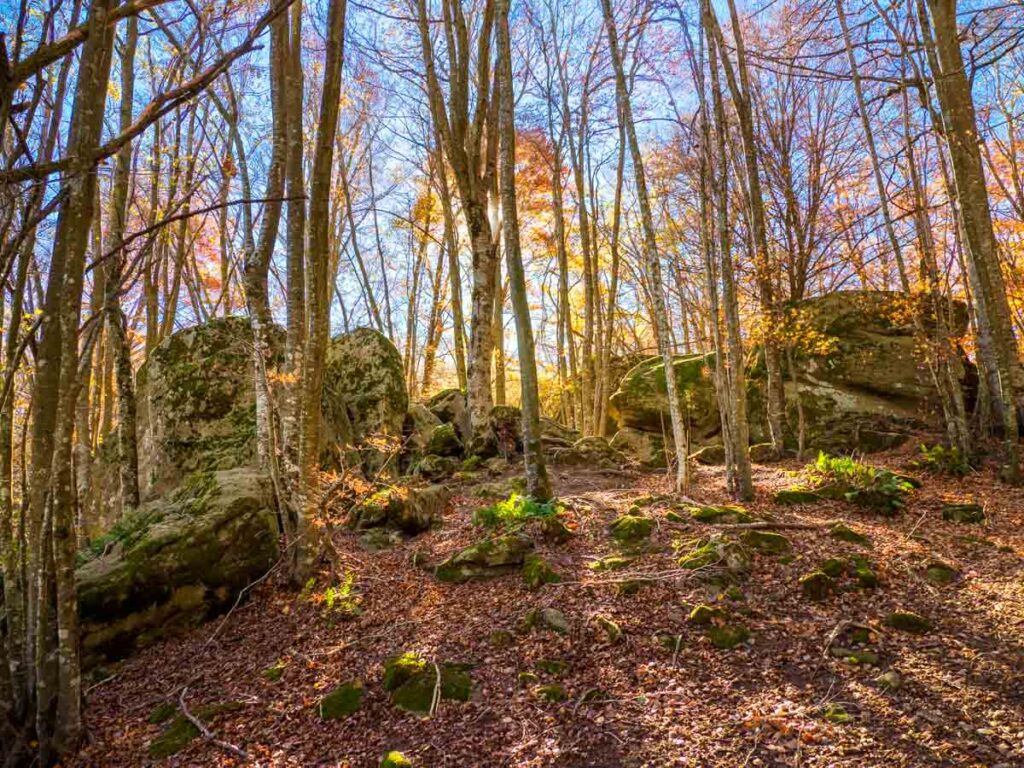 Enchanted rocks of Rupit