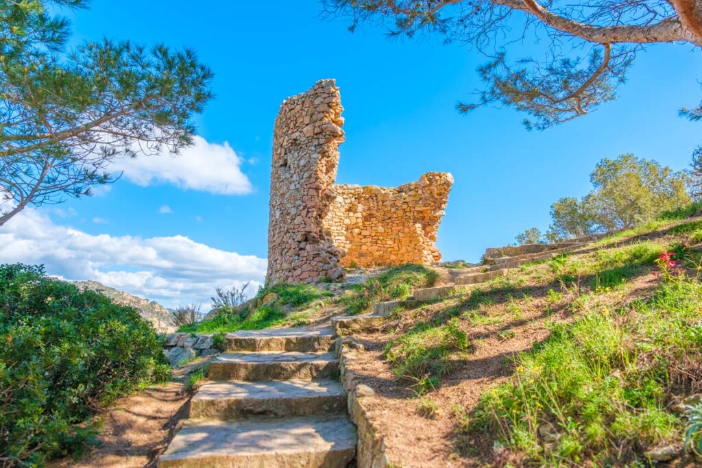 Torre d'Agulla de Pola