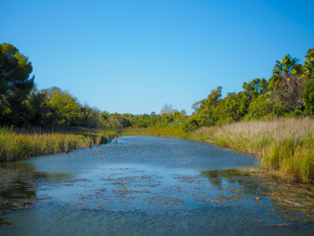 Desembocadura del Riu Gaià