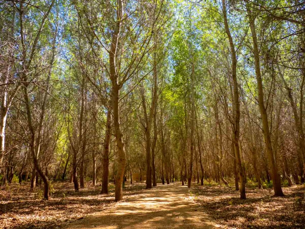 Amposta, una ciutat envoltada de natura