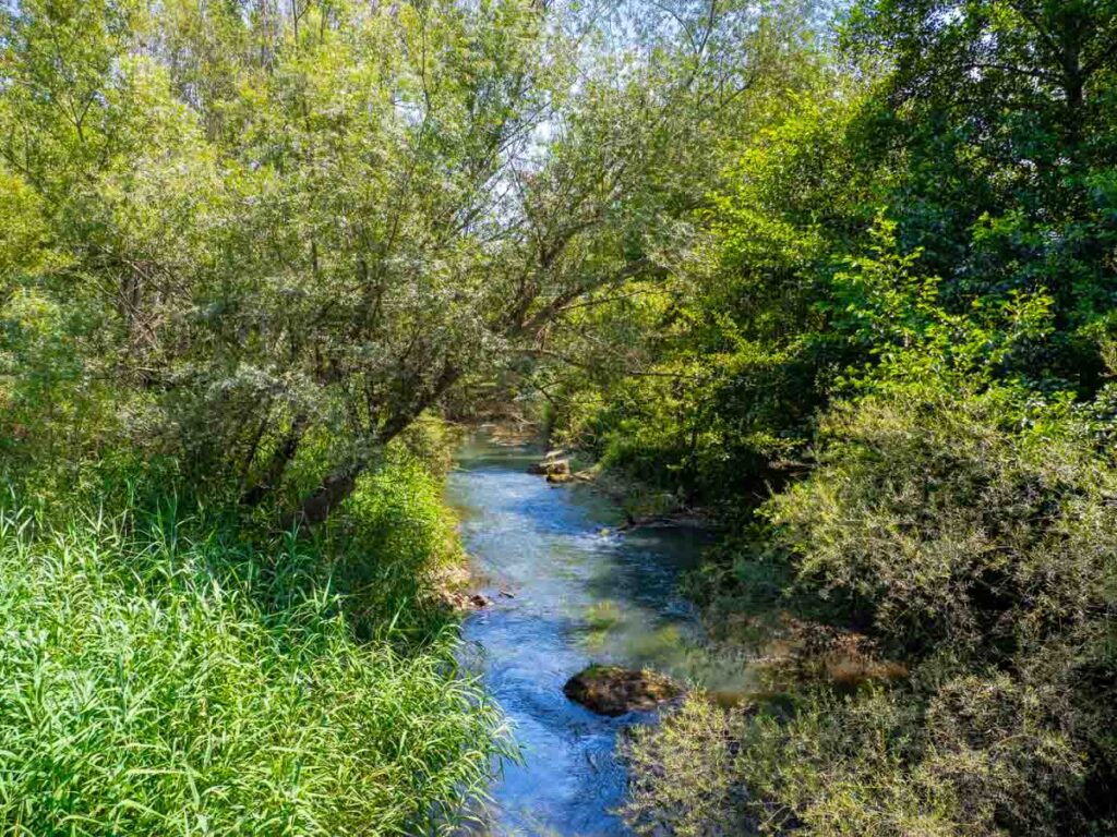 La serra la Noguera -la Serreta-