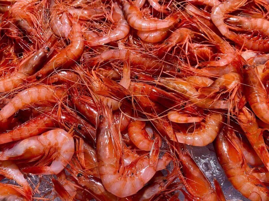 Gamba de Palamós