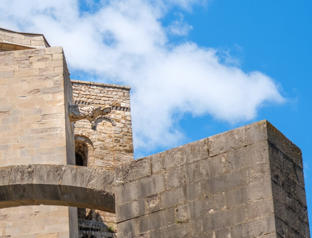 bruixa de la catedral