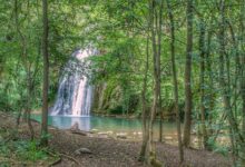 Grog de Malatosca Sant Joan de les Abadesses
