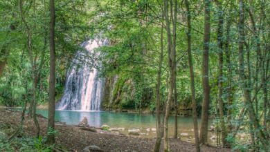 Grog de Malatosca Sant Joan de les Abadesses