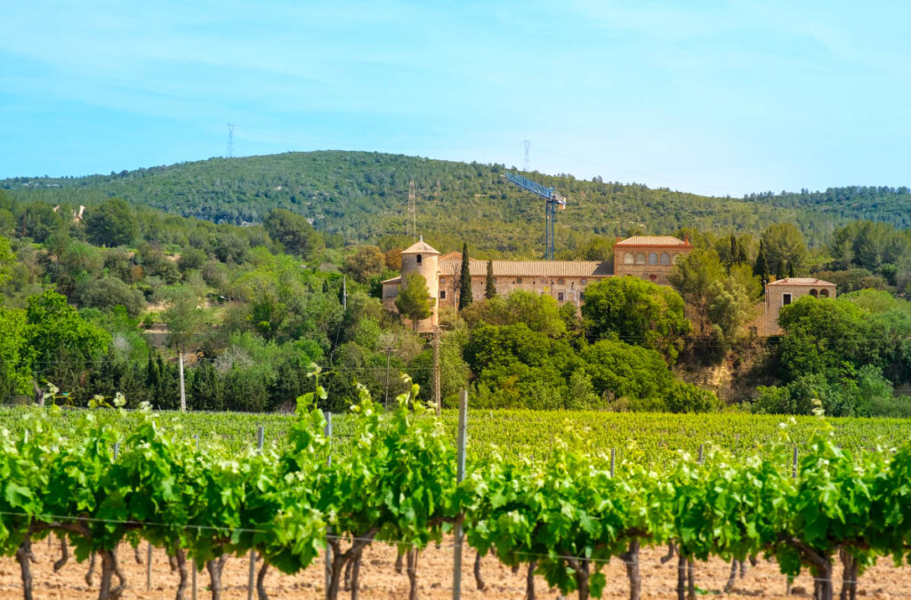 Castell de Penyafort