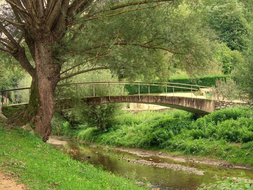 Petit pont Sant Joan de les Abadesses