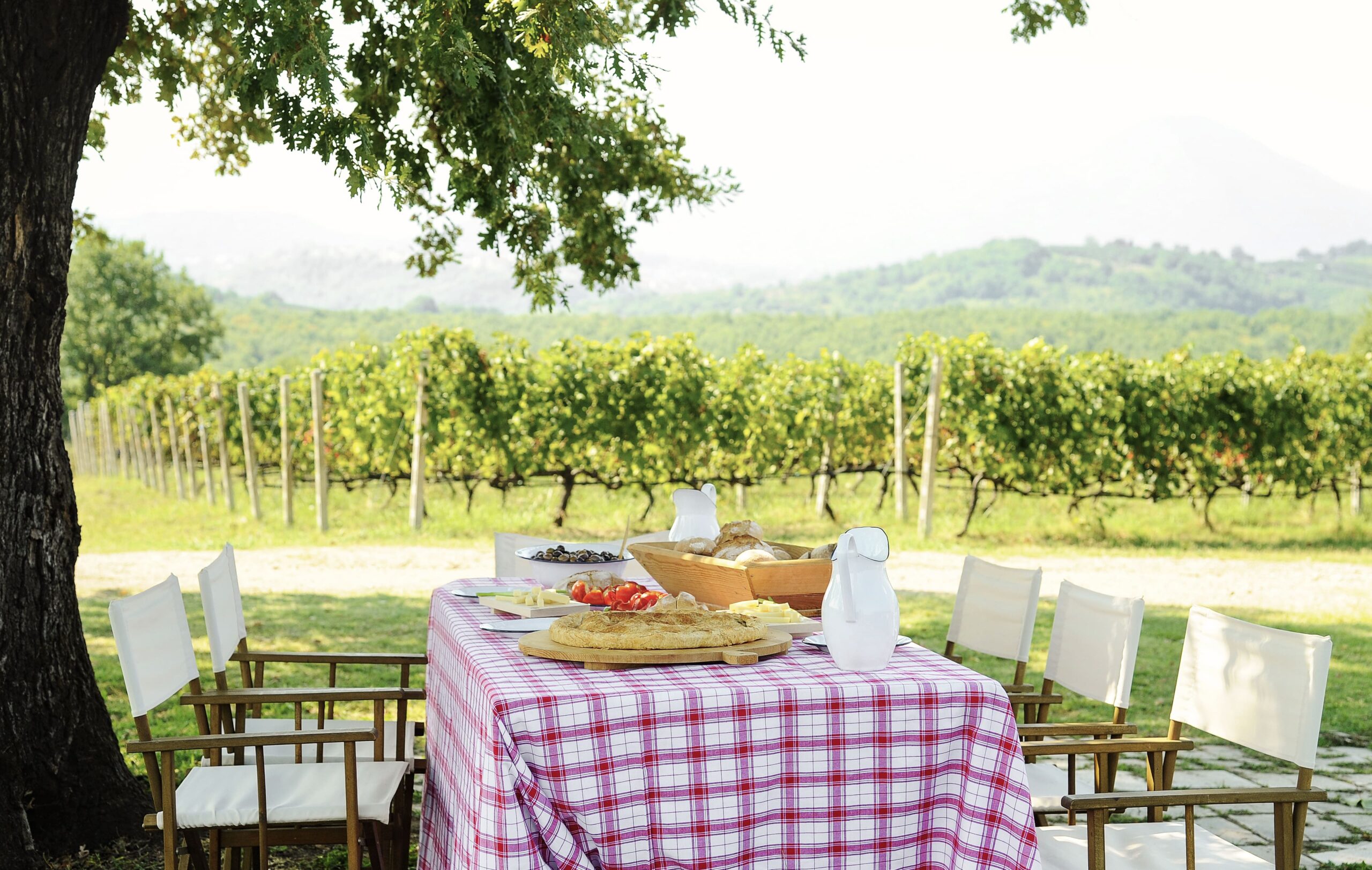 La Primavera del Cava