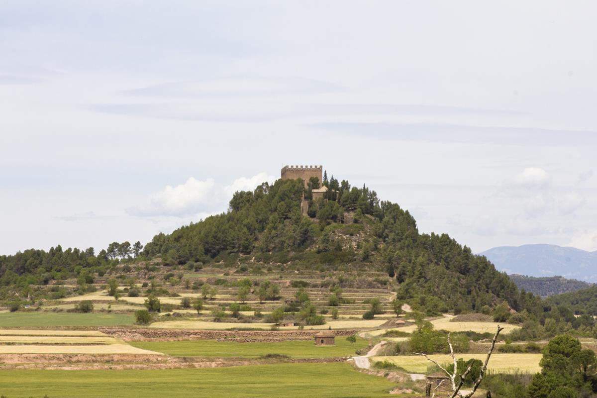 Castell de Balsareny