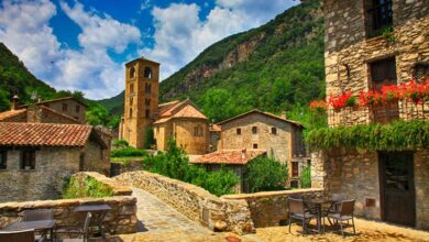 beget