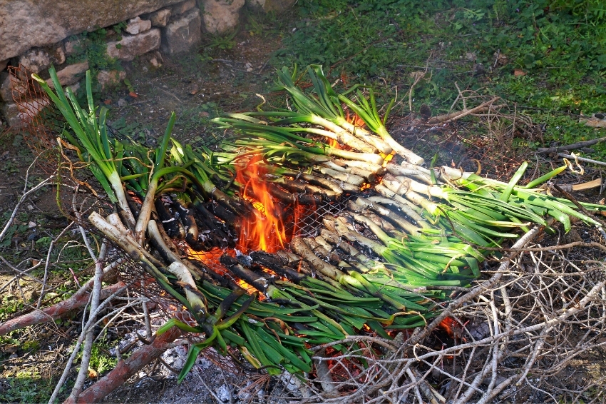 Calçotada popular a Sant Julià de Ramis