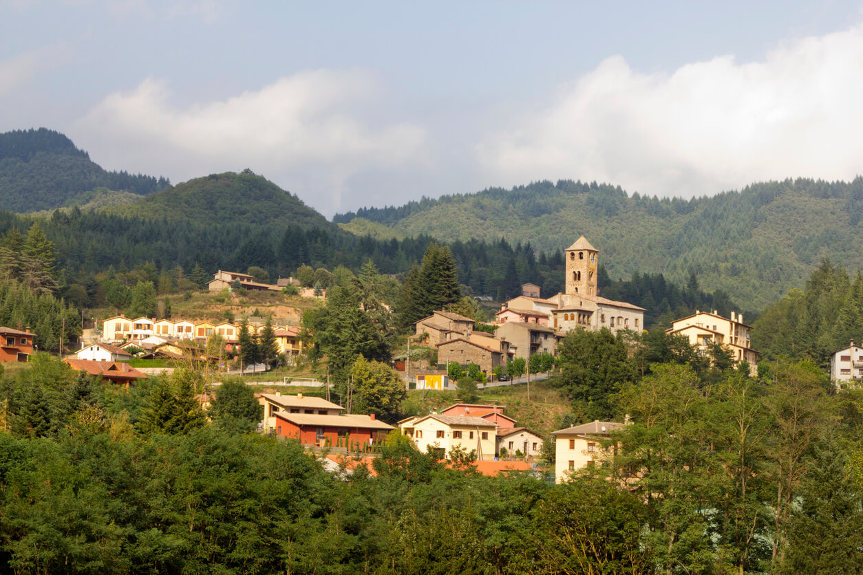 Fira de l'Avet d'Espinelves