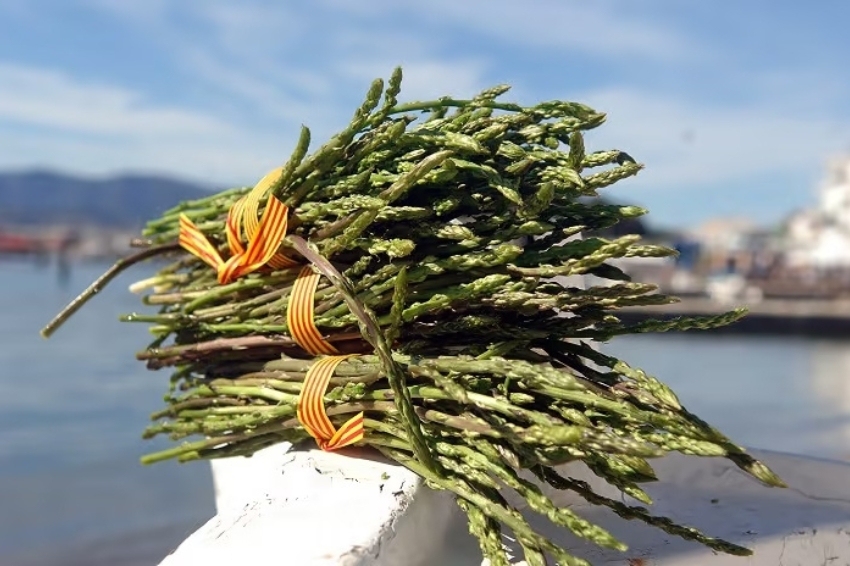 Fira de l'Espàrrec al Port de la Selva