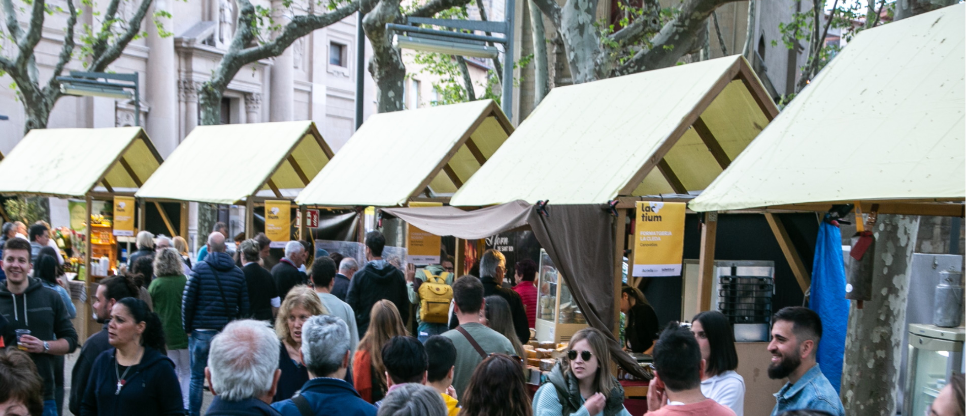 6ª edició de LACTIUM, mostra de formatges catalans de Vic