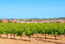 Santa Margarida i els Monjos, llegat cultural i tradició vitivinícola