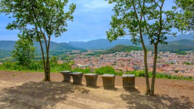 Olot, entre volcanes y fauna
