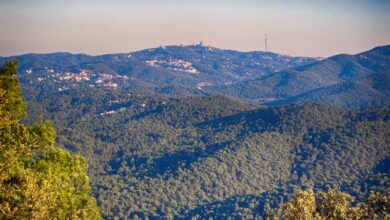 Parc natural de Collserola