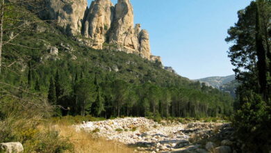 Parc Natural dels Ports