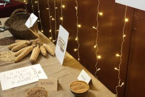 Fira de la puríssima Gironella