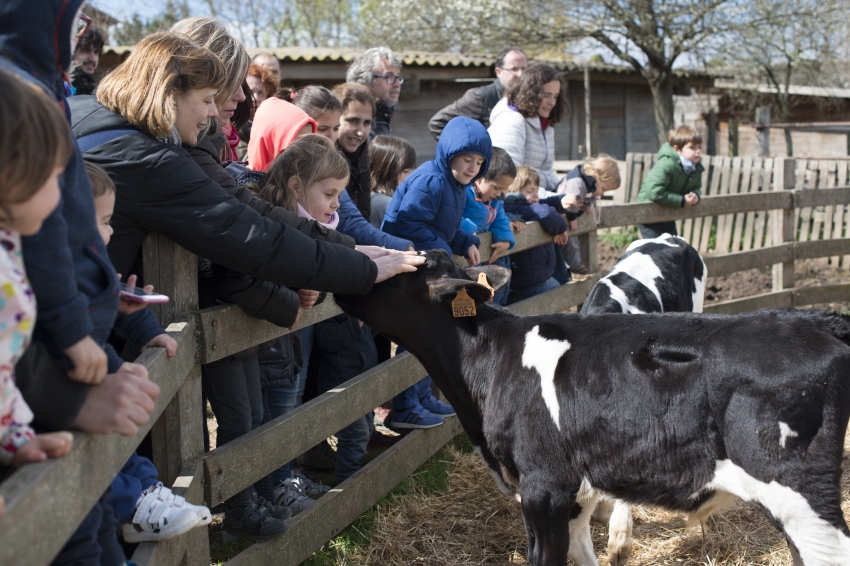 Visites Guiades a Mas Casablanca: Experiència de Vida a Pagès